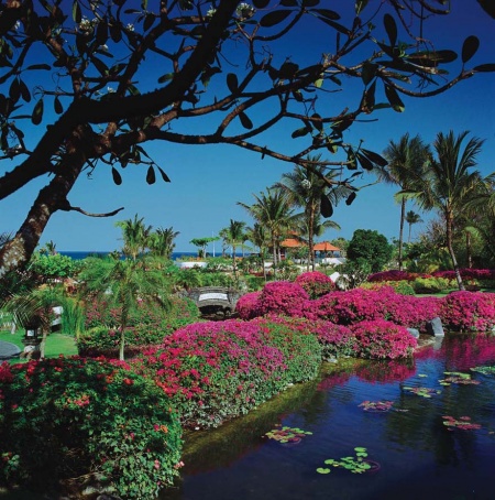 Lobby Garden